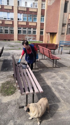 21 округ. Активные жители принимают участие в благоустройстве округа.